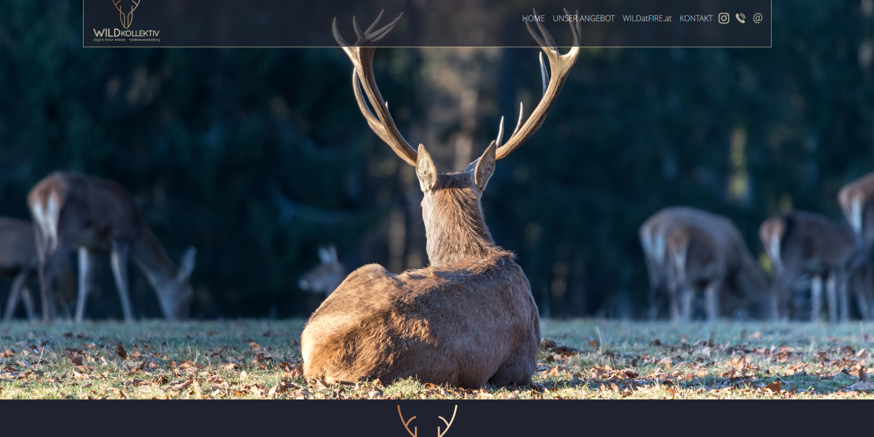 wildatfire.at